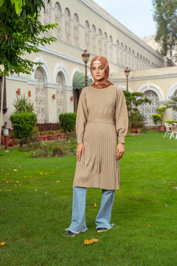 Elegant Jumper Dress