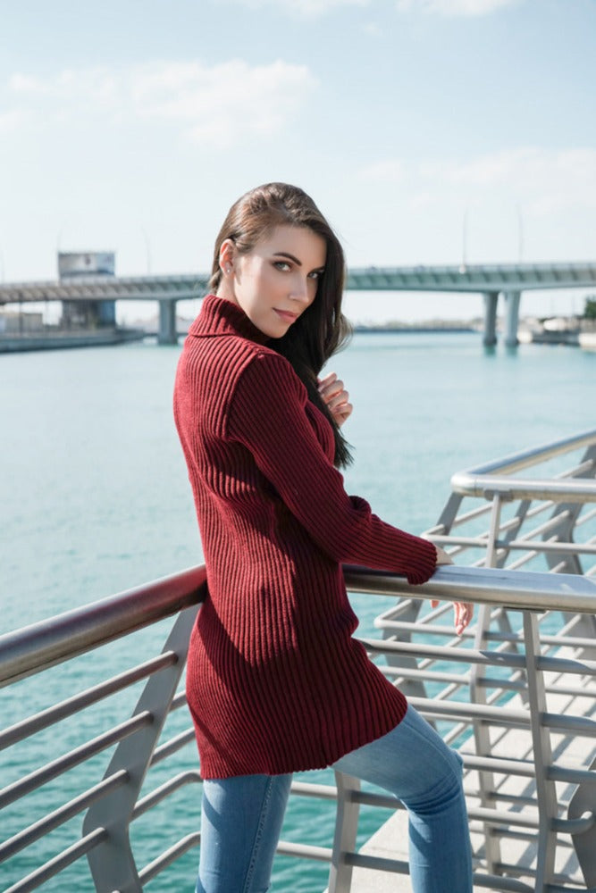 Ladies Maroon Polo Neck Jumper Dress