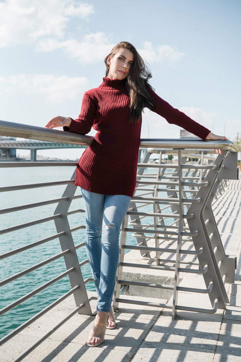Maroon Polo Neck Jumper Dress